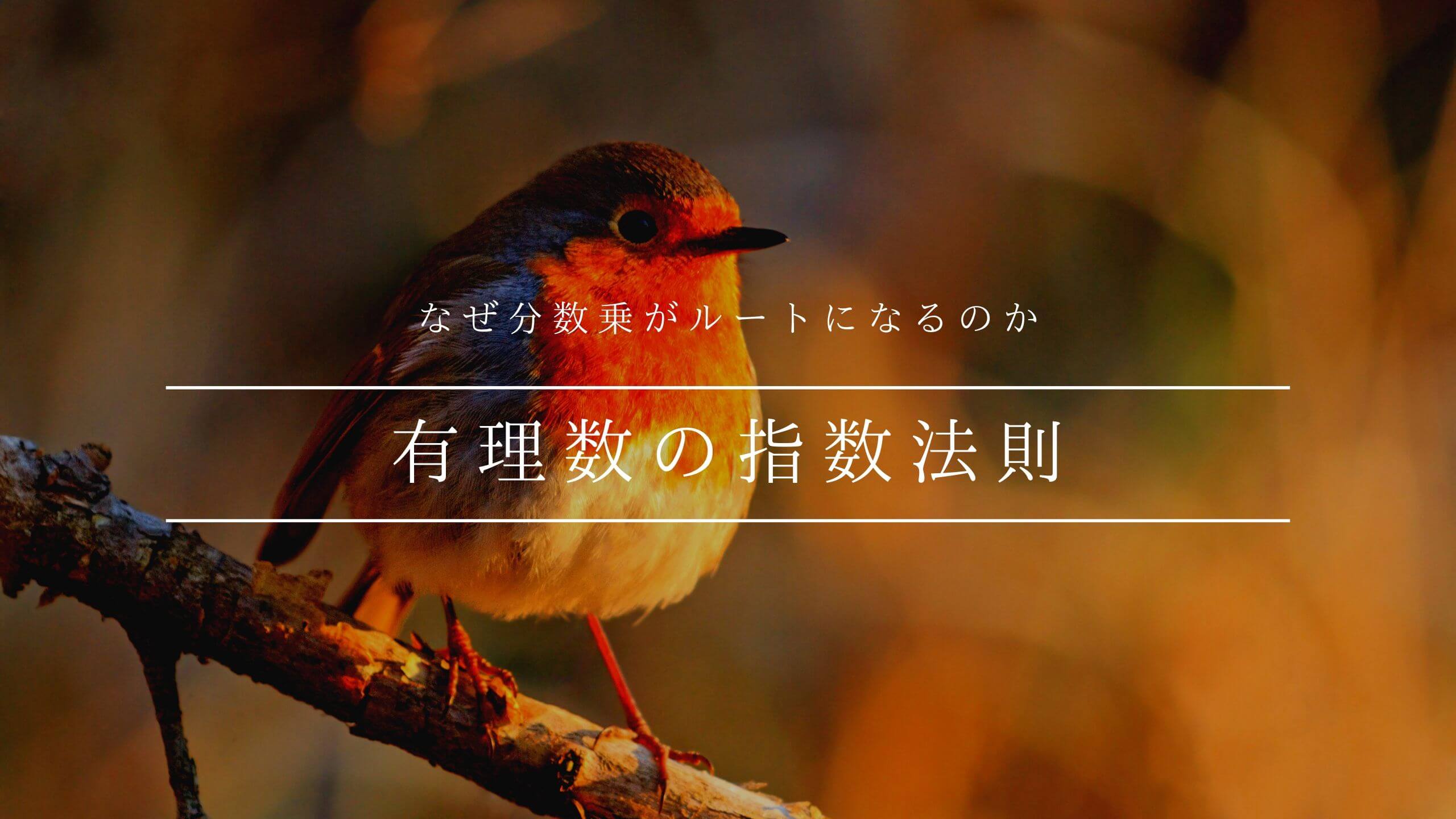 有理数の指数法則 なぜ分数乗がルートになるのか 寝ててもわかる指数法則 青春マスマティック