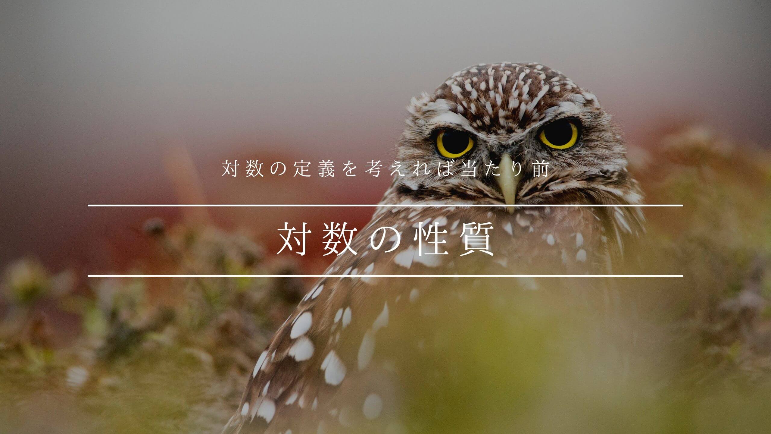 対数の性質】定義を考えれば当たり前。暗記0で理解する対数の必須性質 - 青春マスマティック